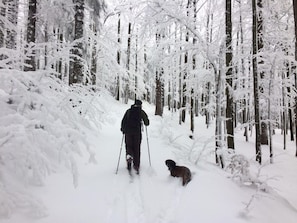 Snöskovandring