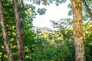 Grandfather Mountain view