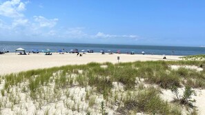 Cape May Point Beaches