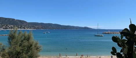 Vue sur la plage ou l’océan