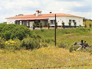 Casa Coruja (left) and Casa Aguia surrounded by wild flowers in Springtime