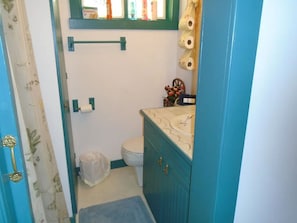 Smaller Bathroom with smaller shower