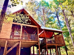 Elevated deck allows you to observe nature and family of deer feeding up close