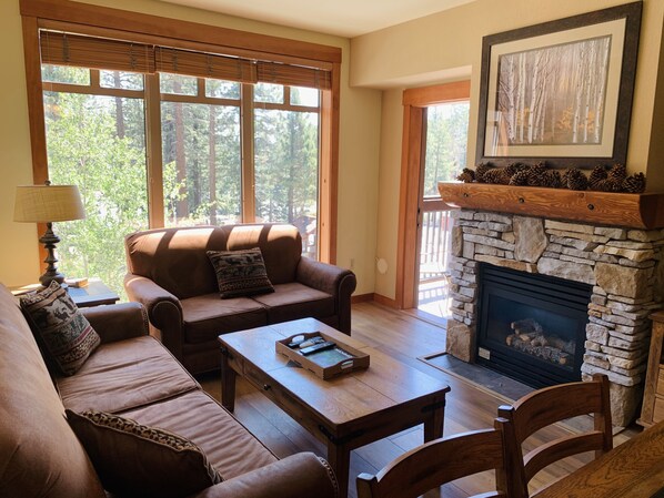 Living room with pull out sofa and cozy gas fireplace 