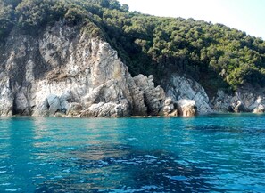 Coast below the house