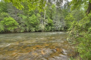 The Toccoa River in your backyard!