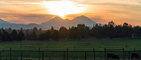 Spectacular Mountain view from the Bunkhouse