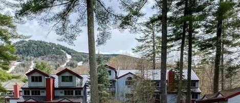 Building our condo is in (Attitash Mountain in the backdrop)