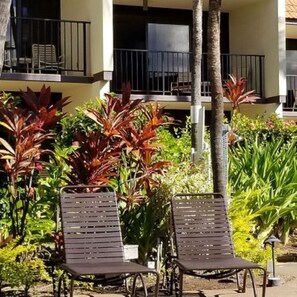 Terassi/patio