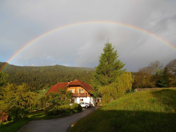 Morgenstimmung im Mai