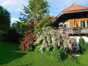 Unser Garten im Juni
