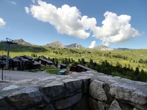 Summer view