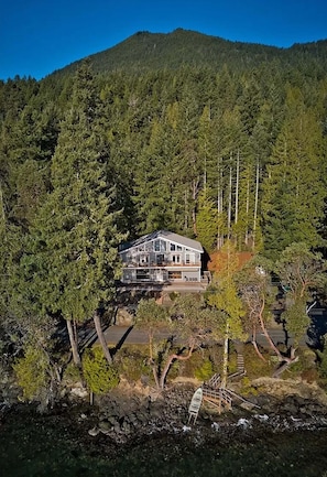 So many options,  beach in front & Olympic National Forest at back property line