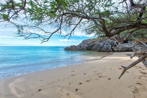 Serene mornings on the beach