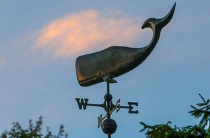 Coastal weather vane