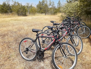 Bikes for one of the nicest biking routes just at the road.