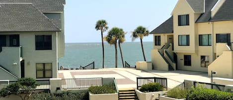 Beautiful garden and ocean views