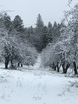 Skidåkning och snöaktiviteter