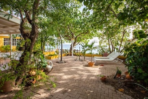 Garden seaside with comfortable loungers in the shade. 