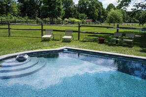 The pool area is full fenced in. Perfect for dogs off leash!