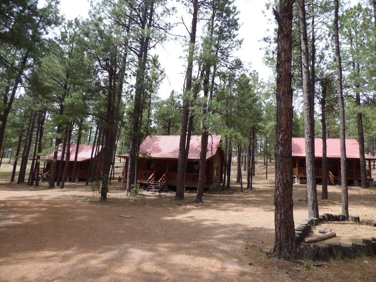 Circle Pine Ranch-“The Real Log Cabin Experience”