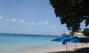 A beach scene.