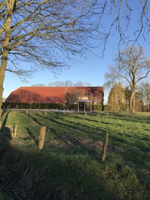 Oklassificerad bild, 3 av 50, knapp