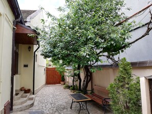 The yard of the guest house! 