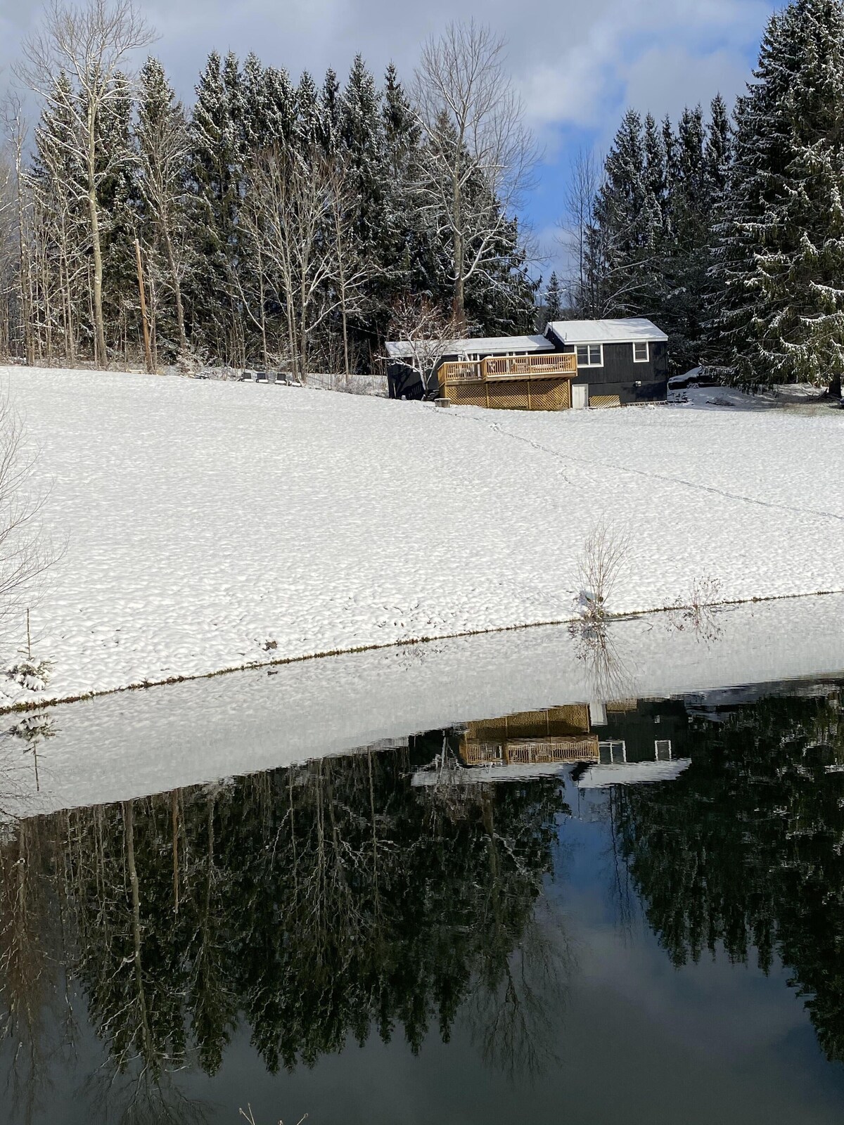 Main Image