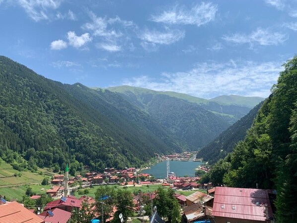 Ulkopuoli