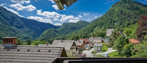 Iglica Apartments - First Floor, balcony