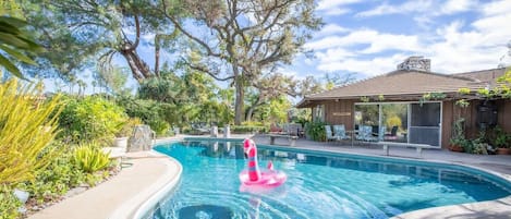 Voted "Amazing Pool" airbnb category by our guests! Guests of all ages love to swim, relax and take in nature and completely lose track of time in this unique and gem of a pool. 

Message me about pool heating in the colder months! 