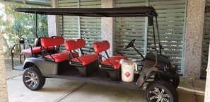 Golf Cart Limo, our grandkids love it!!