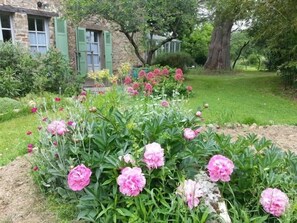 jardin sud