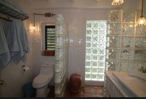Main floor bathroom