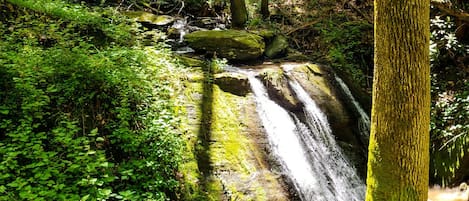 Whispering Falls at Leatherwood Mountains