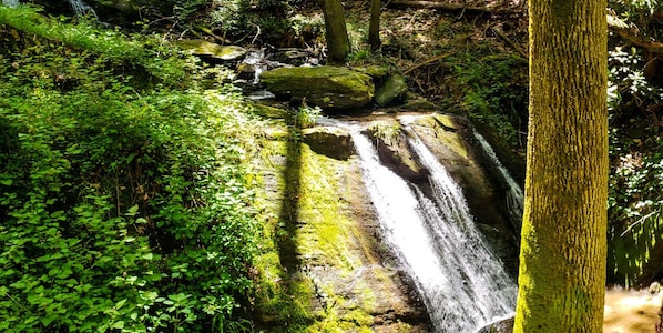 Whispering Falls at Leatherwood Mountains