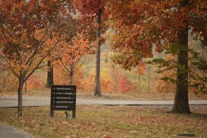 Cabin sits in park like setting