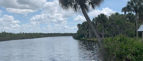 Mayakka River 