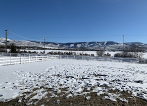 View looking out the back of our property