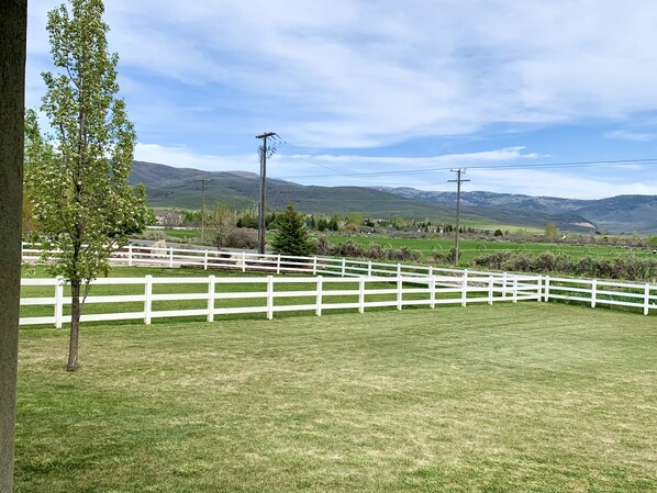 Campo esportivo