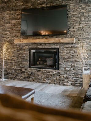 Tv with remote controlled gas fireplace 