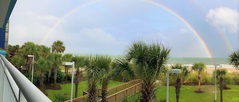 Your pot of gold under this rainbow is Unit 202!