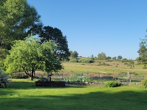 view from the bedroom  patio