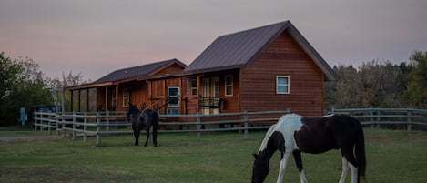 Cabin is the one on the RIGHT