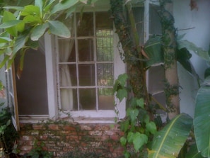 Exterior detail