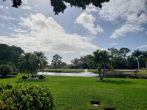 The view from the condo