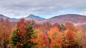 View from the treehouse. Camels hump in the background
