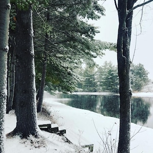 Riverside Retreat Log Cabin, 4 Season Cabin