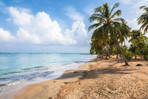 Nearby Beach